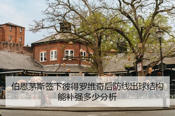 bo-en-mao-si-qian-xia-bi-de-luo-wei-qi-hou-fang-xian-chu-qiu-jie-gou-neng-bu-qiang-duo-shao-fen-xi-2-786.jpg