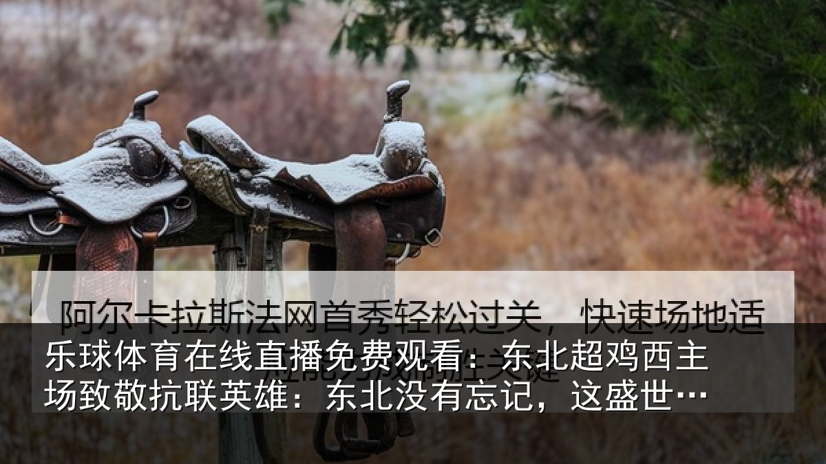 乐球体育在线直播免费观看：东北超鸡西主场致敬抗联英雄：东北没有忘记，这盛世如你所愿