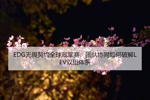 EDG无畏契约全球冠军赛：团队协同如何破解LEV双狙体系